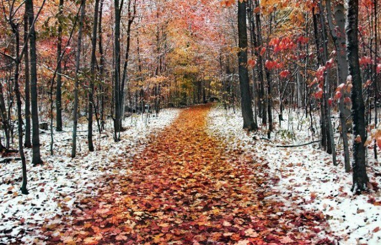 Мороз до -14: синоптик рассказал, когда начнется холодная погода в ноябре Мороз до -14: синоптик рассказал, когда начнется холодная погода в ноябре