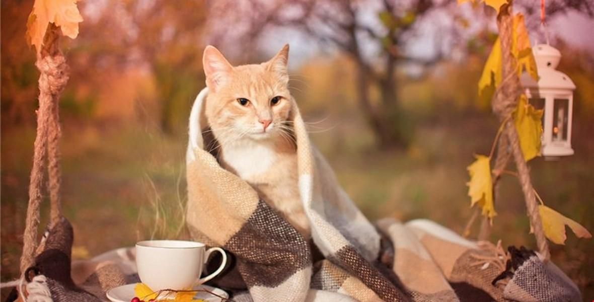 В Украину идут первые морозы: синоптик назвала дату В Украину идут первые морозы: синоптик назвала дату