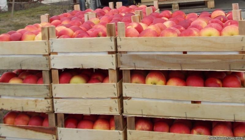 В Білорусі заарештували українця, який продавав фрукти у Росію В Білорусі заарештували українця, який продавав фрукти у Росію