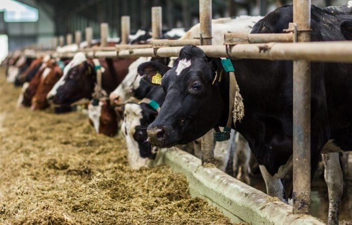 Крупные агрохолдинги потеряют 300 миллионов гривен дотаций Крупные агрохолдинги потеряют 300 миллионов гривен дотаций