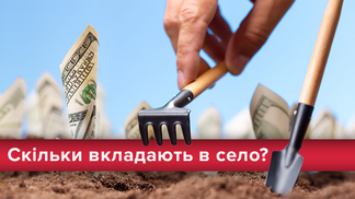Скільки інвестували в розвиток села за останні роки: інфографіка