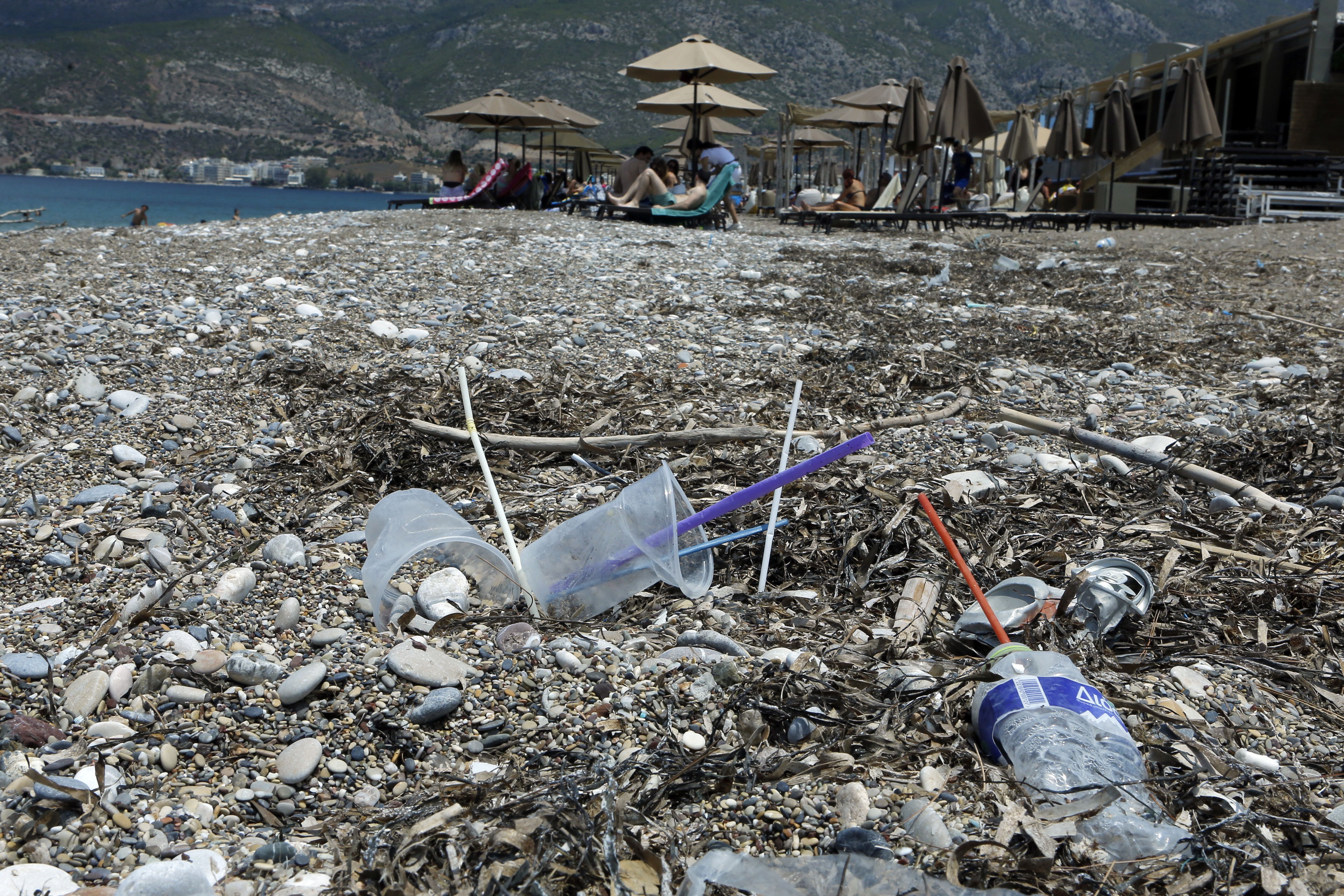 Вже не fake news: відомо, яке слово стало словом року 2018 Вже не fake news: відомо, яке слово стало словом року 2018