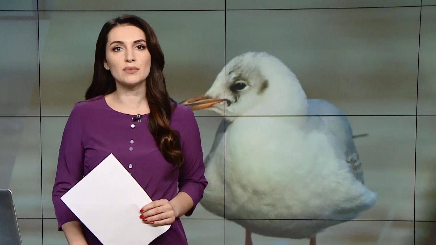 Випуск новин за 12:00: Масова загибель птахів у Тернополі. Зняття недоторканності з Березкіна