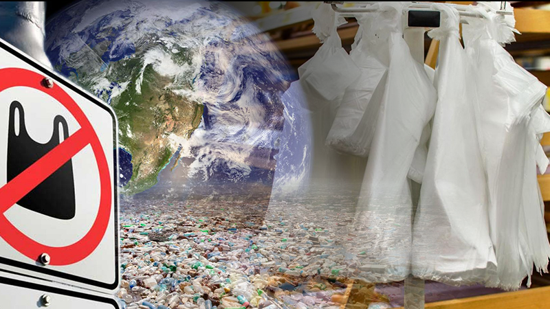В Україні почали обмежувати використання одноразових пакетів: чим замінити В Україні почали обмежувати використання одноразових пакетів: чим замінити
