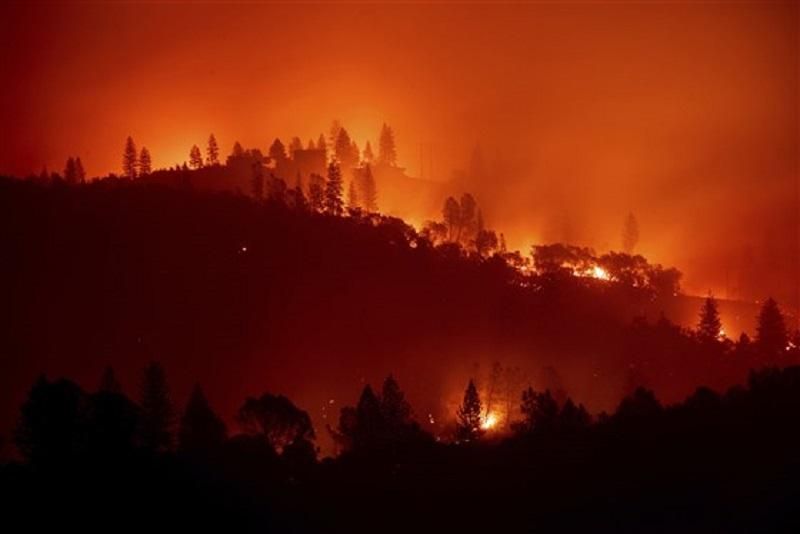 Пожежі у Каліфорнії визнані найбільш смертельними за останні 85 років
