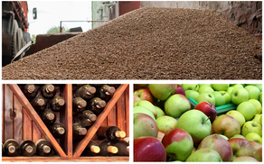 Вино та яблука: чого більше Україна стала продавати за кордон