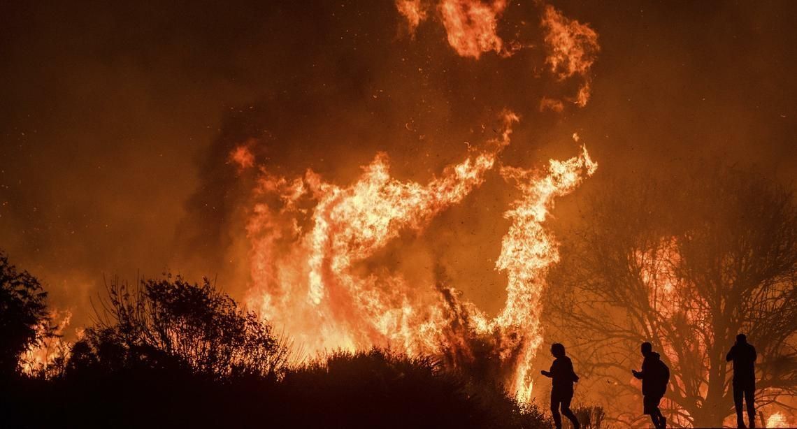 Число погибших в результате лесных пожаров в Калифорнии достигло 42 человек