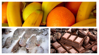 Які продукти і в кого купує Україна в 2018  за кордоном: інфографіка