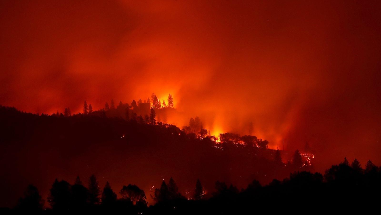 Страшна пожежа у Каліфорнії знищила понад 7 тисяч будинків