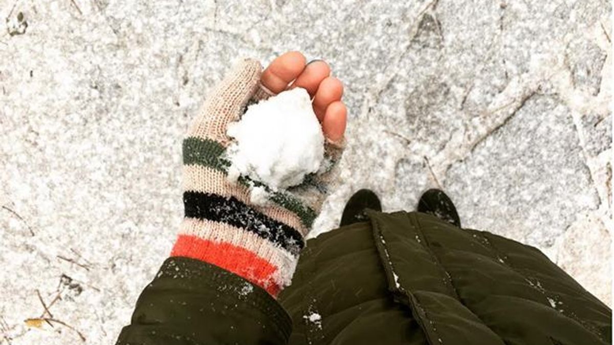 Снег в Киеве - фото и видео первого снега 14 ноября 2018
