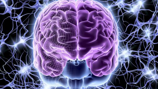 Вылечить неизлечимую болезнь Альцгеймера: ученые сделали весомый шаг