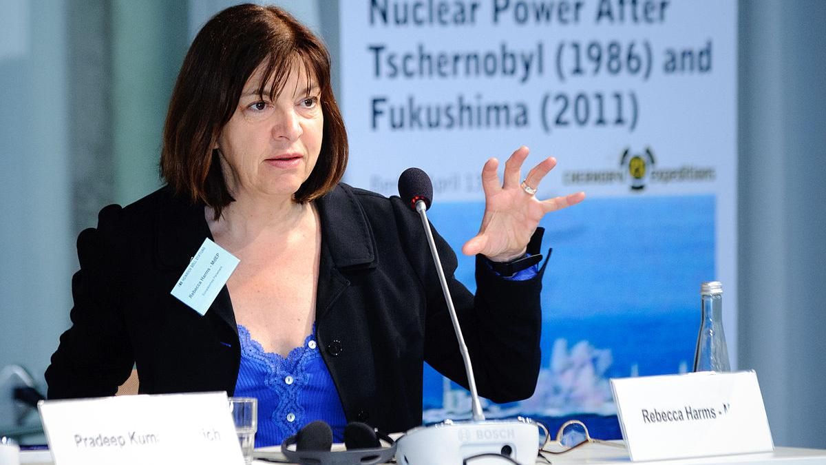 В Европарламенте сделали важное заявление насчет голосования переселенцев на выборах В Европарламенте сделали важное заявление насчет голосования переселенцев на выборах