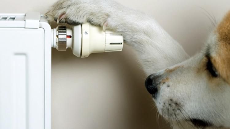 У 12 містах України зірваний опалювальний сезон: відома причина У 12 містах України зірваний опалювальний сезон: відома причина