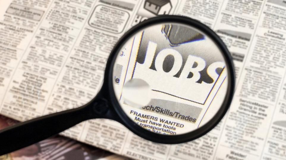 Випускники яких спеціальностей найчастіше шукають роботу: цікава статистика Випускники яких спеціальностей найчастіше шукають роботу: цікава статистика