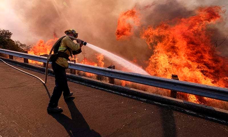 Пожар в Калифорнии: Трамп назвал главную причину возгорания