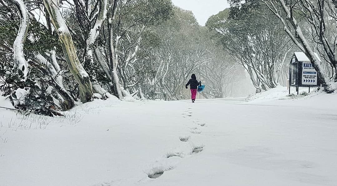 В Австралії за тиждень до літа випав сніг: неймовірні фото та відео