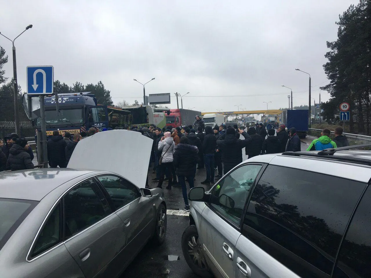 євробялхи євробялхи