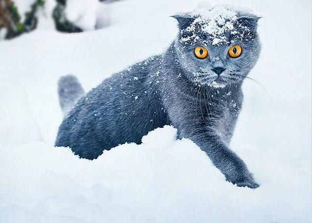 Погода 29 ноября 2018 Украина: прогноз погоды от синоптика Погода 29 ноября 2018 Украина: прогноз погоды от синоптика