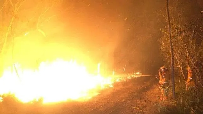 Масштабна пожежа в Австралії Масштабна пожежа в Австралії