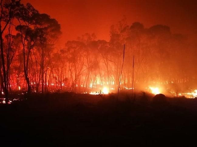 На востоке Австралии вспыхнул масштабный пожар: фото и видео