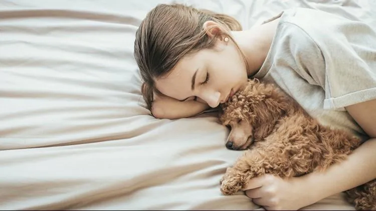 Вчені радять жінкам спати з собакою