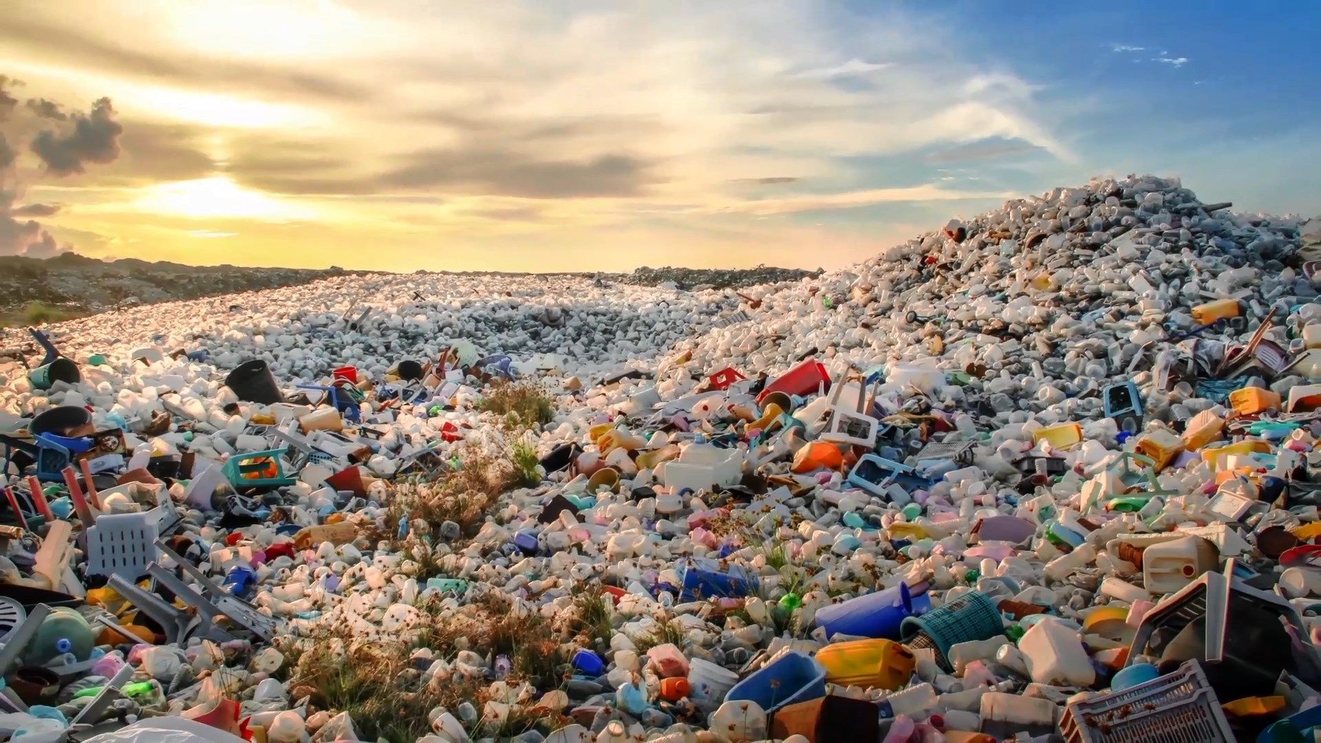 Скільки країн відмовилися від поліетиленових пакетів та чим їх можна замінити Скільки країн відмовилися від поліетиленових пакетів та чим їх можна замінити