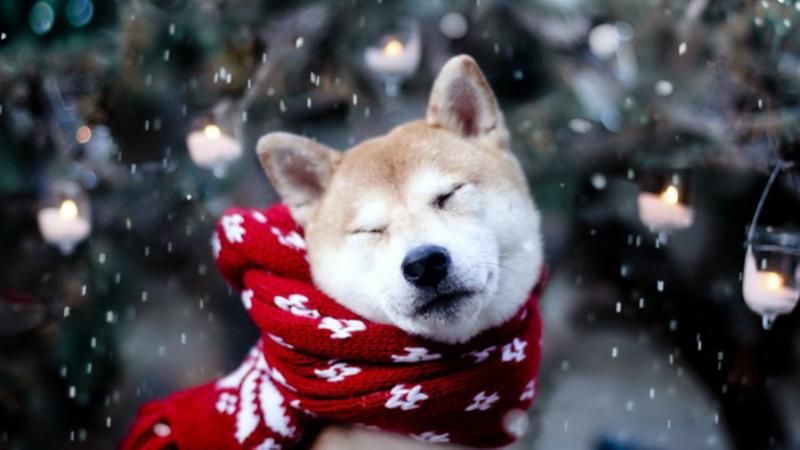 Погода на 2 грудня в Україні Погода на 2 грудня в Україні