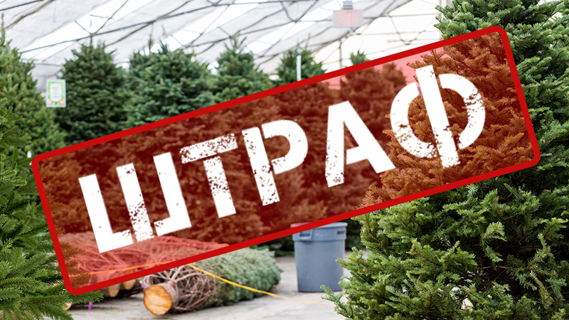 Ялинка на Новий рік 2019 - ціна, де купити і чим краще штучна ялинка Ялинка на Новий рік 2019 - ціна, де купити і чим краще штучна ялинка