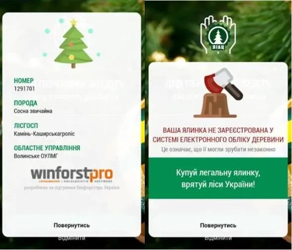 Мобільний додаток ялинки Мобільний додаток ялинки