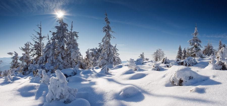 Карпаты засыпало снегом на 30-сантиметров: невероятные фото и видео