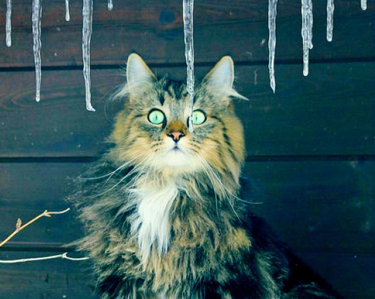 Погода 5 декабря 2018 Украина - прогноз погоды от синоптика