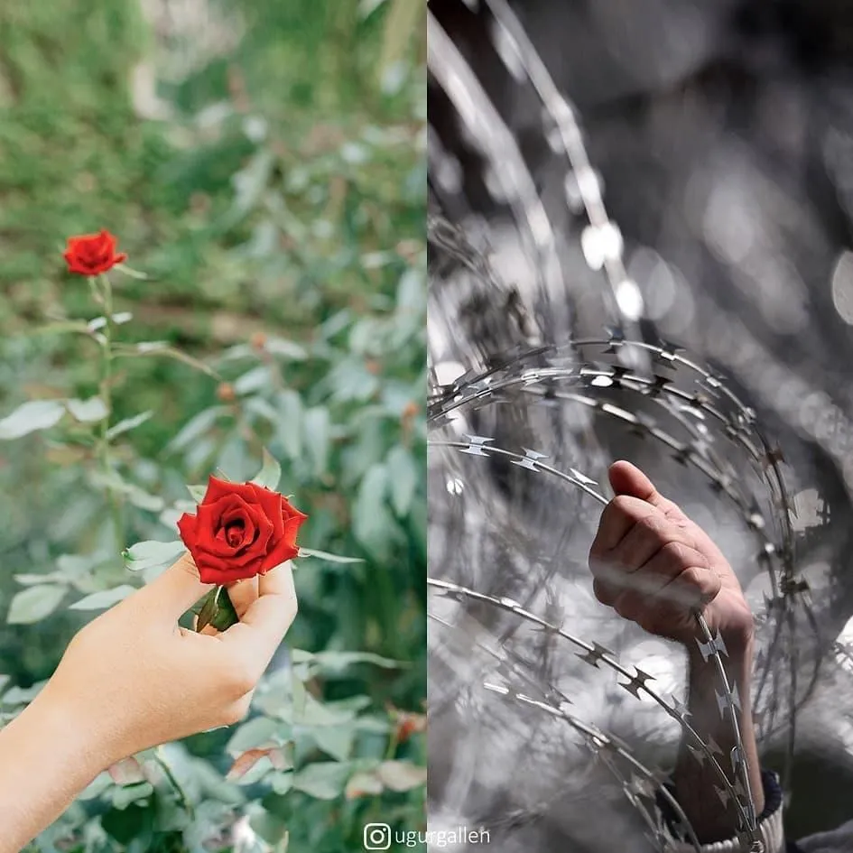 Колаж Колаж