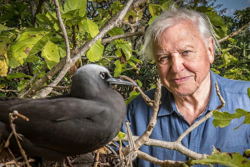 Какой травли подверглась актриса в Египте из-за откровенного платья - 6 декабря 2018 - Телеканал новостей 24 Какой травли подверглась актриса в Египте из-за откровенного платья - 6 декабря 2018 - Телеканал новостей 24