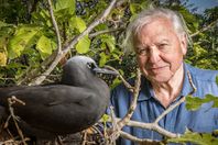 Какой травле подверглась актриса в Египте из-за откровенного платья