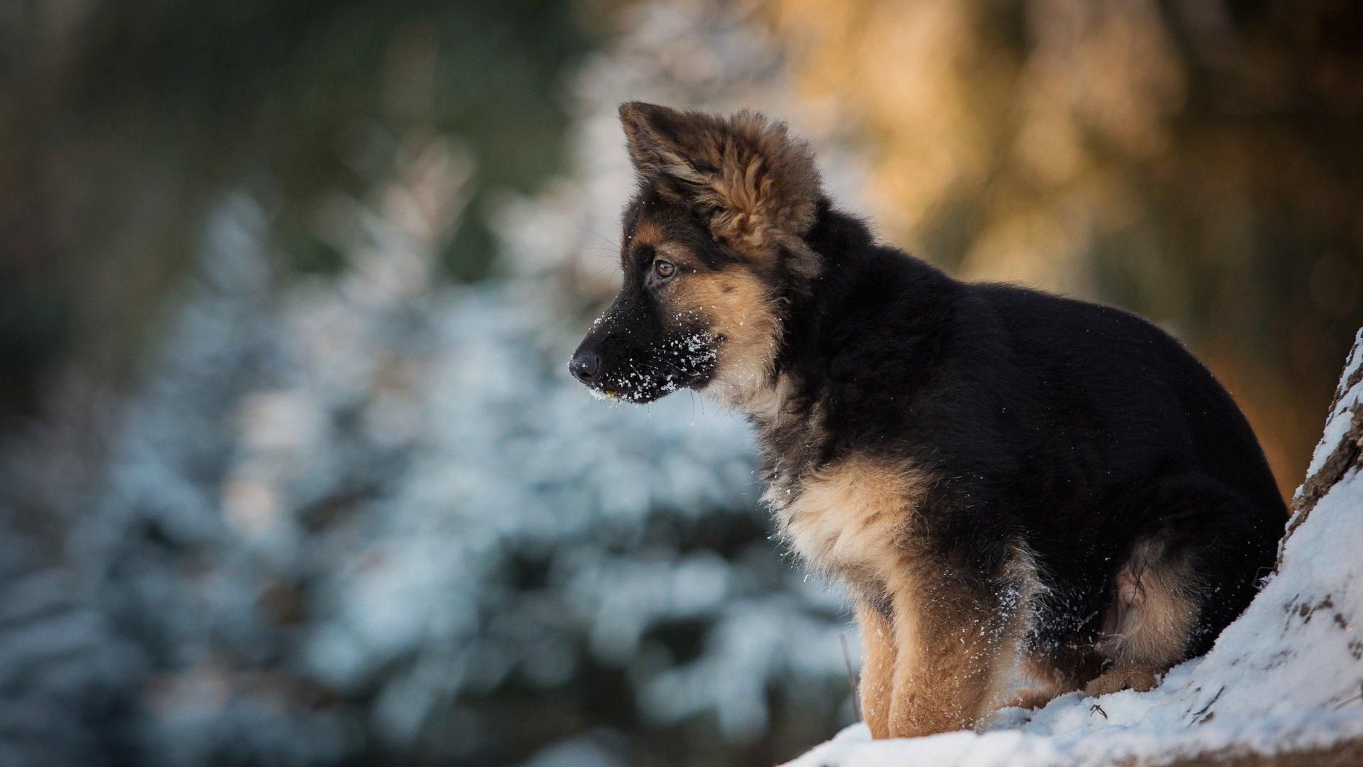 Погода 7 декабря Киев, Львов, Одесса и города Украины - синоптик Погода 7 декабря Киев, Львов, Одесса и города Украины - синоптик