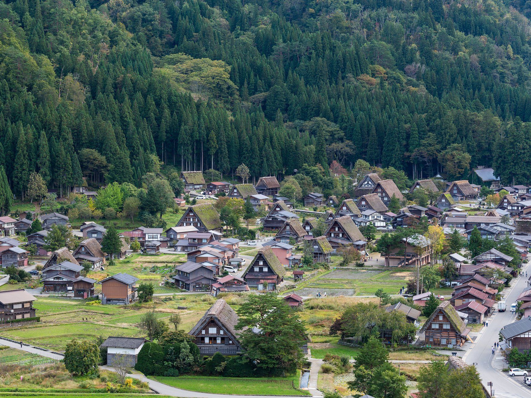Житлова криза у Японії: як виглядають будинки, які роздають задарма