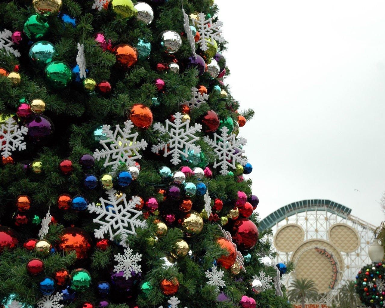 Как Украина готовится к Рождественским праздникам