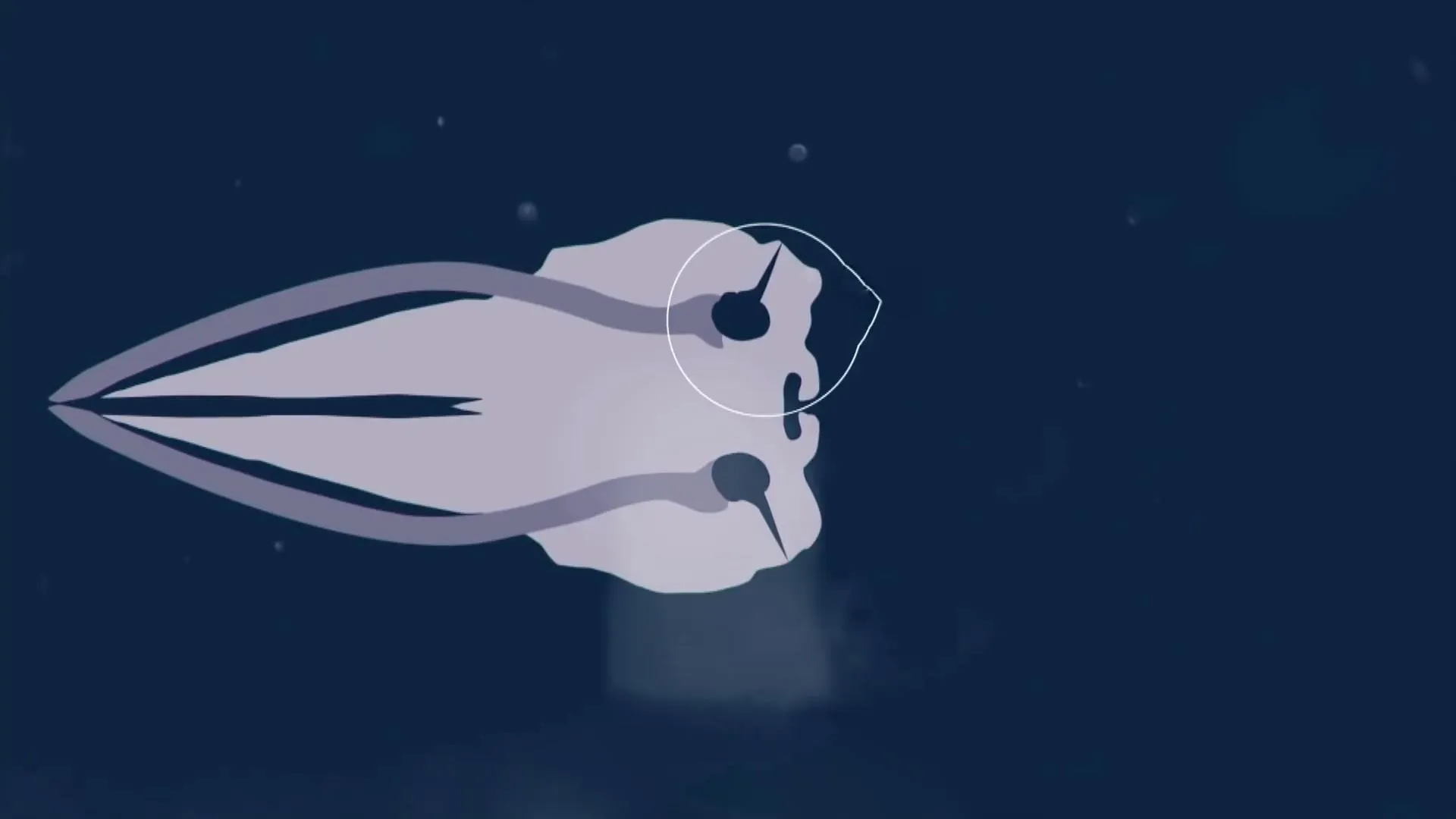 Череп кита Череп кита