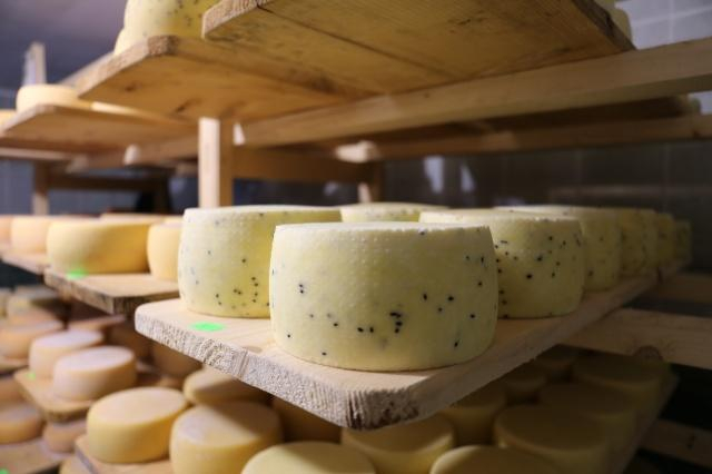 Домашний бизнес: как превратить хобби в источник дохода