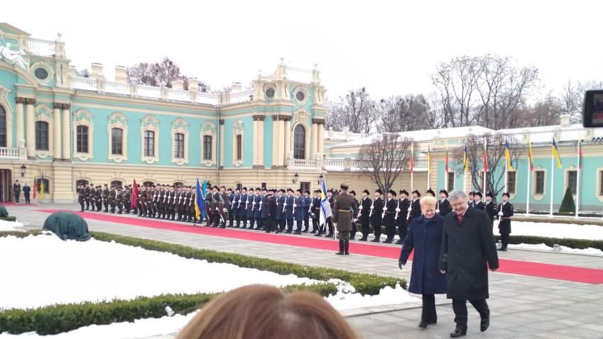 В Україну прибула президент Литви: відома мета приїзду