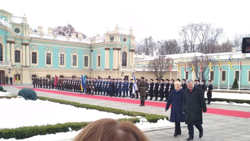 В Украину прибыла президент Литвы: известна цель приезда
