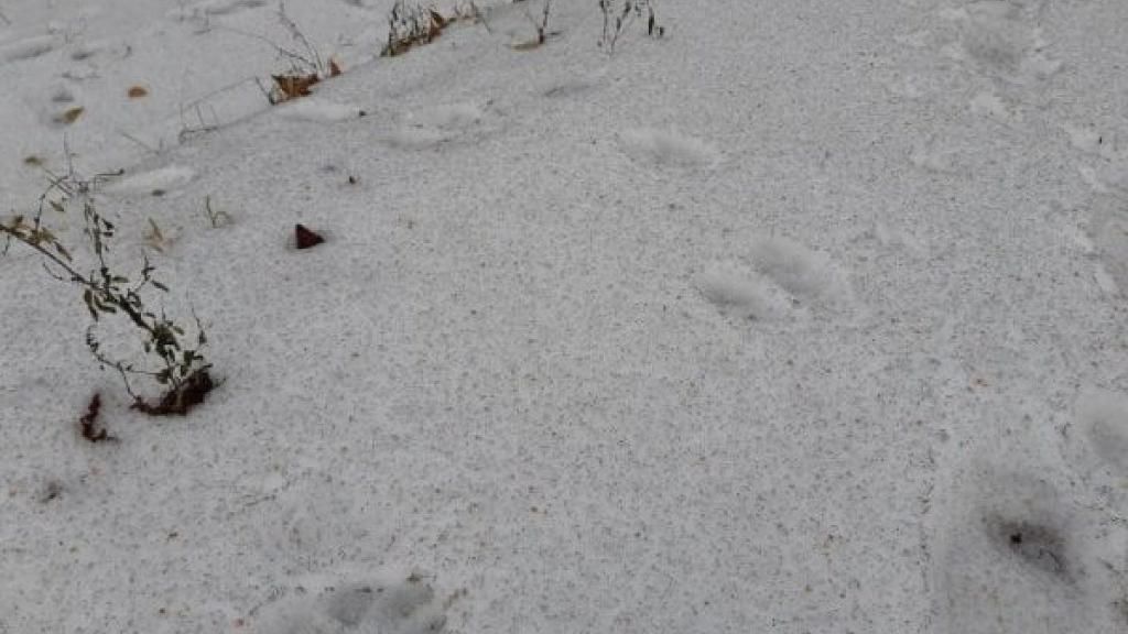 У одному з міст України випав чорний сніг: промовисті фото 