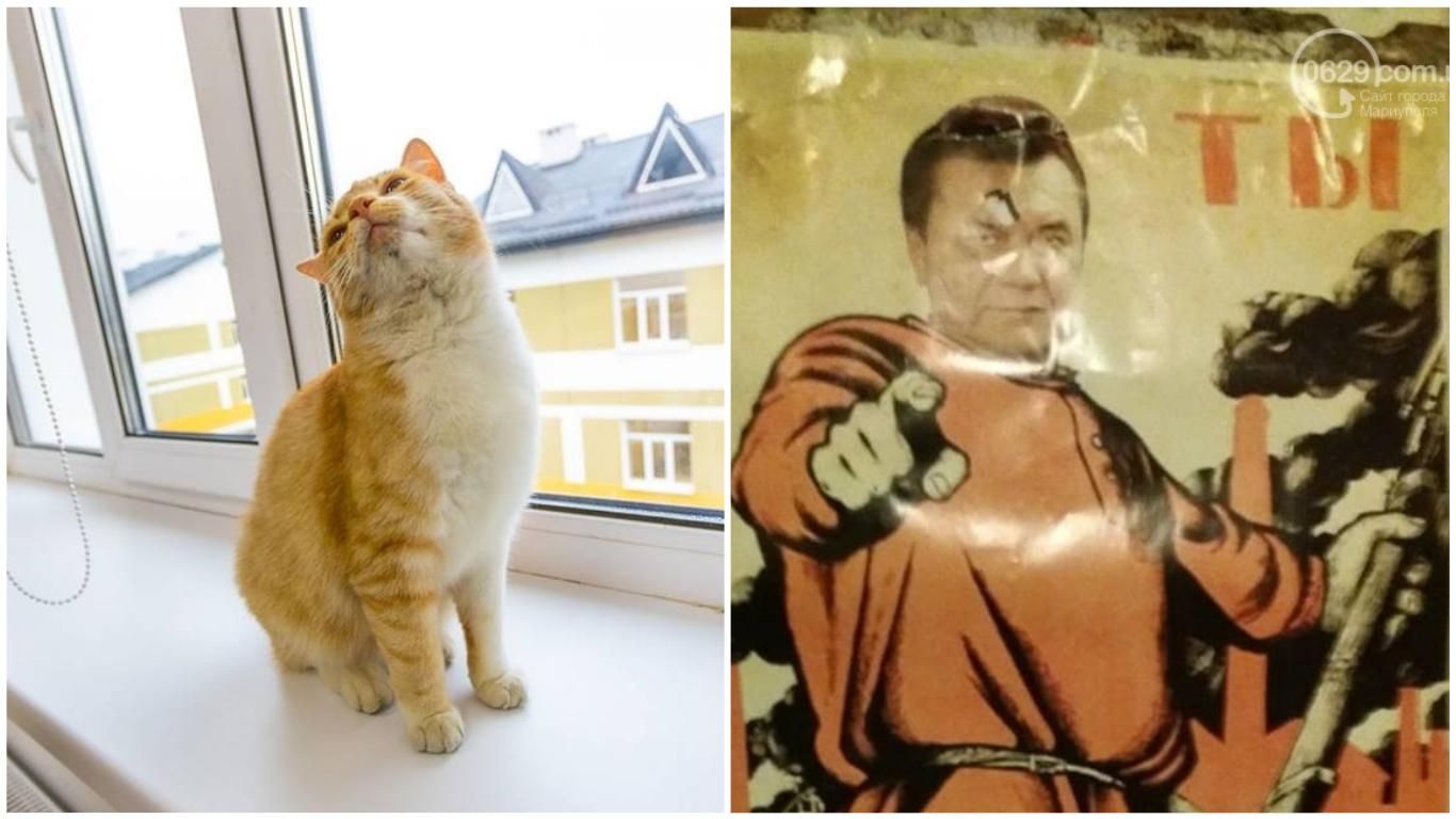 Самые смешные мемы недели: кот Порошенко и Янукович-красногвардеец