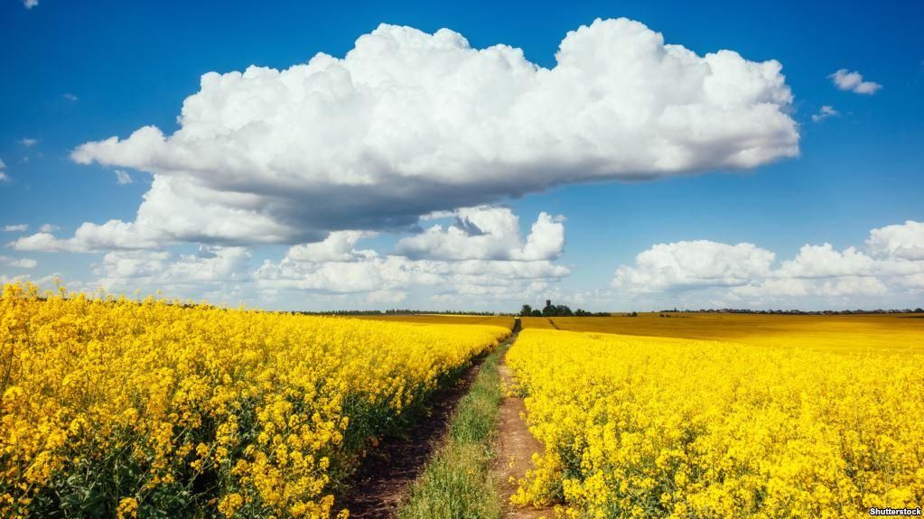 Зустріти Новий рік в Україні чи в Європі: порівняння цін Зустріти Новий рік в Україні чи в Європі: порівняння цін