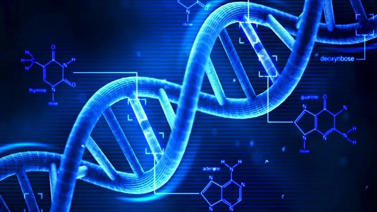 Вчені виявили ген ICOSLG