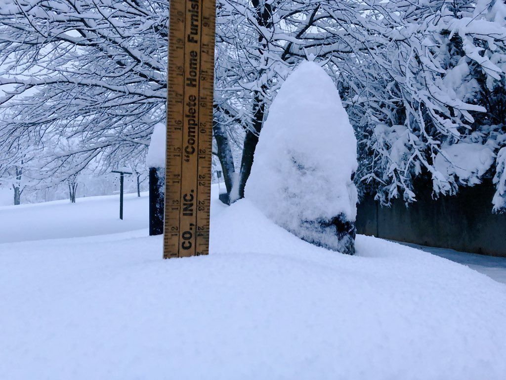 Південь США страждає від сильних снігопадів: фото, відео Південь США страждає від сильних снігопадів: фото, відео