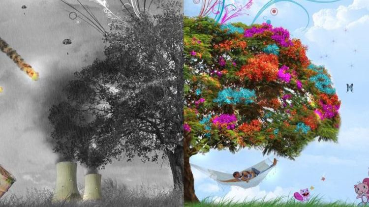 Наиболее экологичные страны мира: в топ-3 не вошла ни одна из стран