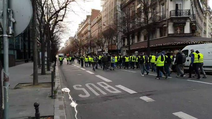 У Єгипті заборонили продаж жовтих жилетів через протести у Франції