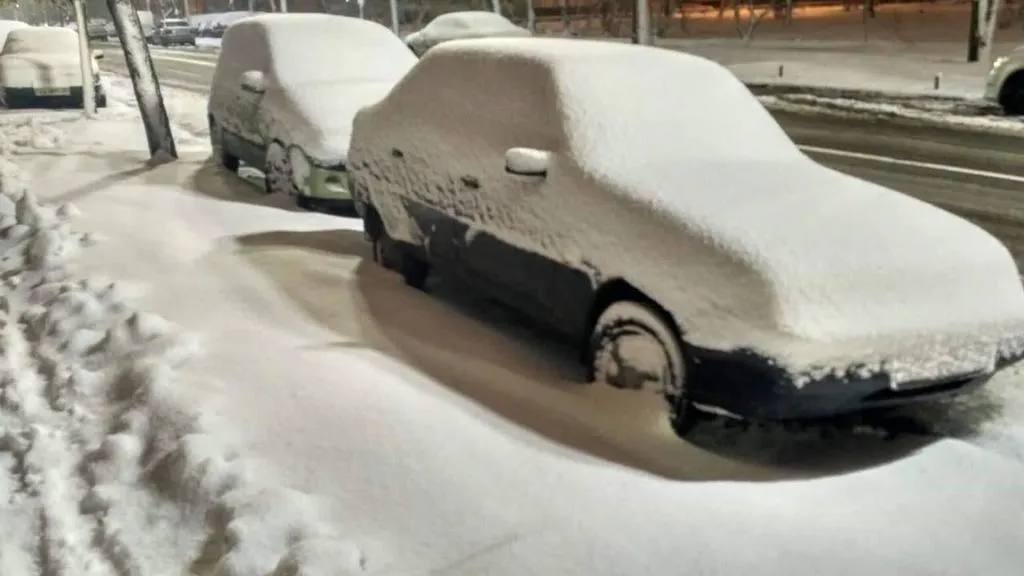 снігопад київ снігопад київ