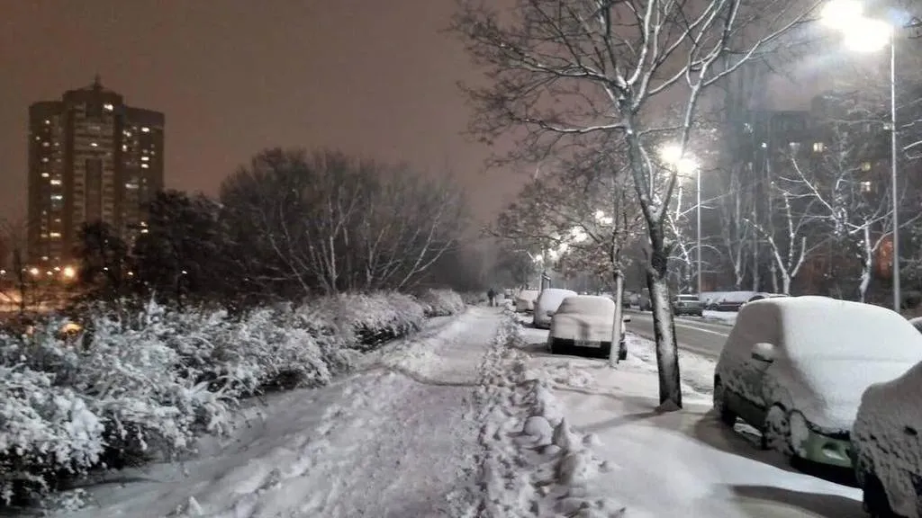 сніг київ сніг київ